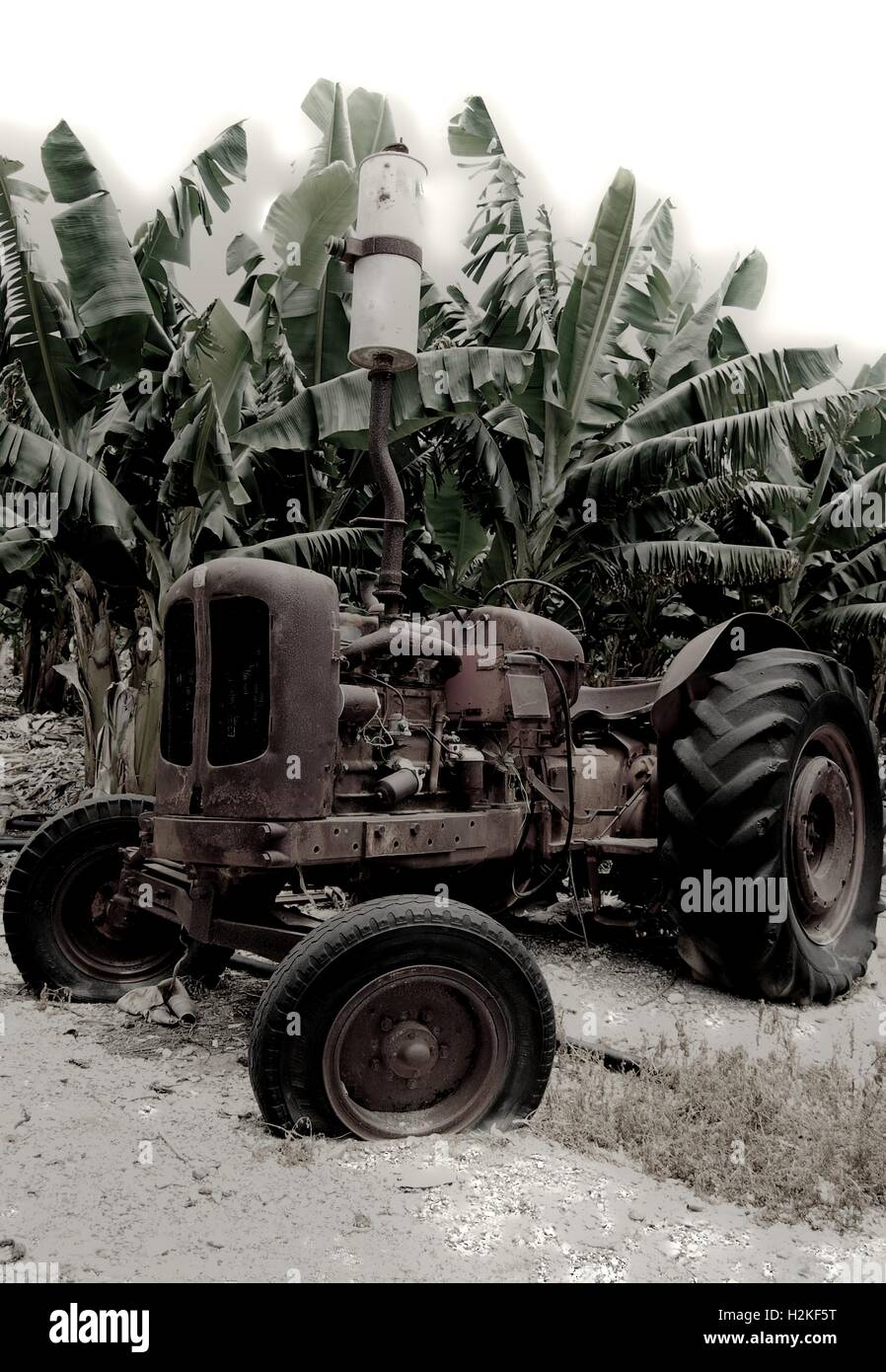 rostigen alten Traktor Stockfoto