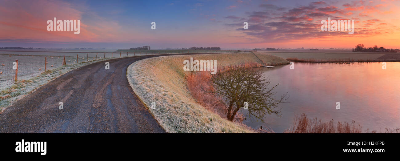 Typische holländische Landschaft an einem frostigen Morgen bei Sonnenaufgang. Dies ist Teil der westfriesischen kreisförmigen Deich, ein Deich System, b Stockfoto
