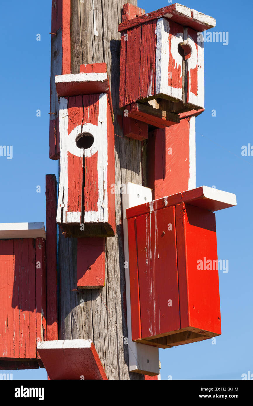 Leuchtend rot, die Nistkästen montiert auf Holzpfosten in Finnland Stockfoto