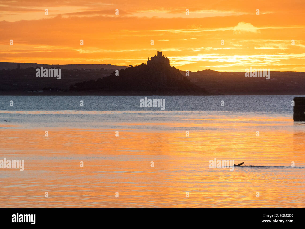 Penzance, Cornwall, UK. 30. September 2016. Großbritannien Wetter. Ein Schwimmer nimmt am frühen Morgen Sprung im Hafen von Penzance, beim Sonnenaufgang über St. Michaels Mount. Bildnachweis: Simon Maycock/Alamy Live-Nachrichten Stockfoto