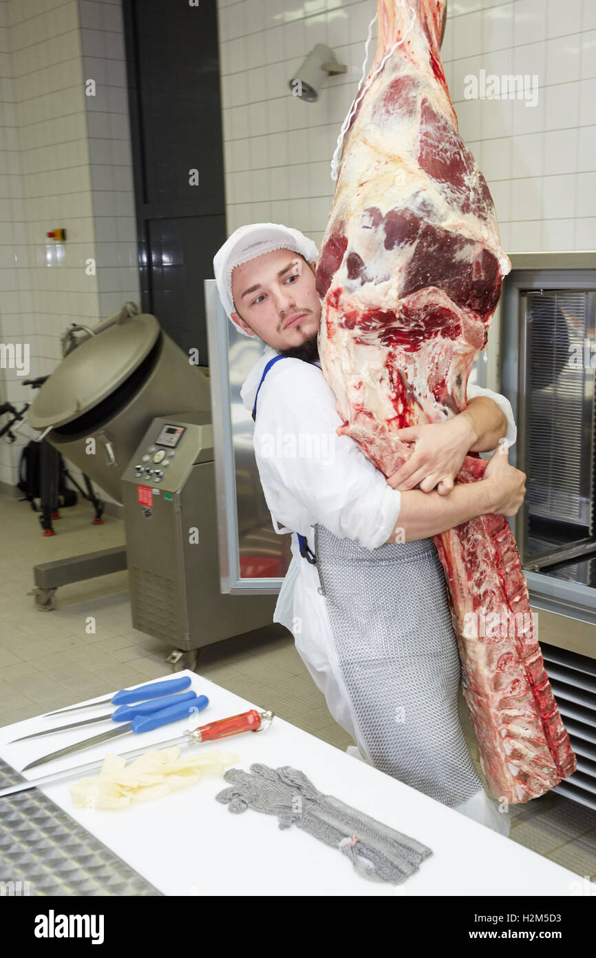 Hamburg, Deutschland. 28. Sep, 2016. Metzger Trainee Gideon Roeingh (21) trägt ein Rind Halbbogen während der Landeswettbewerb der Nord-deutschen Metzger Junioren in Hamburg, Deutschland, 28. September 2016. Foto: Georg Wendt/Dpa/Alamy Live News Stockfoto