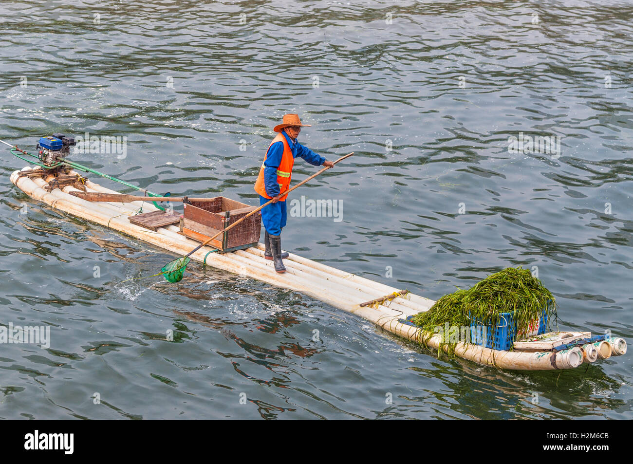 Arbeiter sammeln und Entfernen von Algen auf seinem Bambusfloß aus dem Li-Fluss in der Nähe von Yangshuo Stockfoto