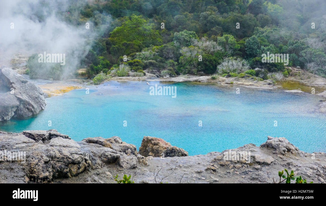 Blauer Pool mit heißem Wasser aus natürlichen Geysir, die enthalten Mineralien, Rotrua, Neuseeland Stockfoto