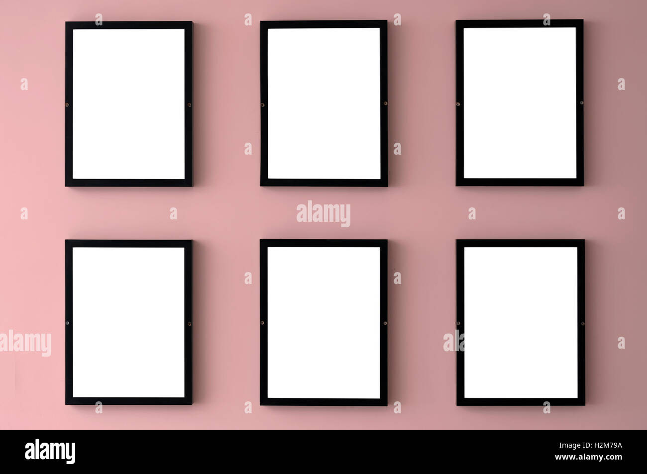 Sechs leere Bilderrahmen hängen an einer Wand mit 2016-Pantone-Farbe Rosenquarz. Stockfoto
