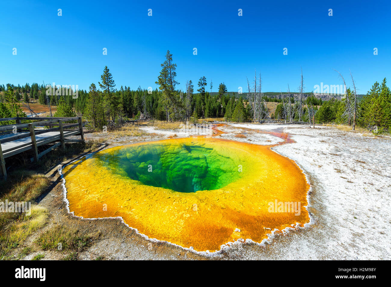 Weitwinkel-Blick auf den Morning Glory Pool in Upper Geyser Basin im Yellowstone National Park Stockfoto