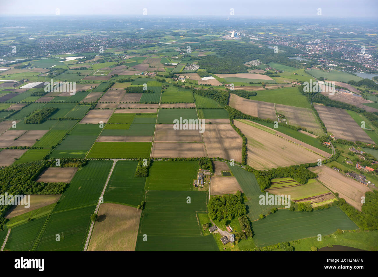Luftbild, Felder, Ackerland Mosaik, komplexe NewPark nordöstlich von der Stadt Datteln, Luftaufnahme von Datteln, Ruhrgebiet, Stockfoto