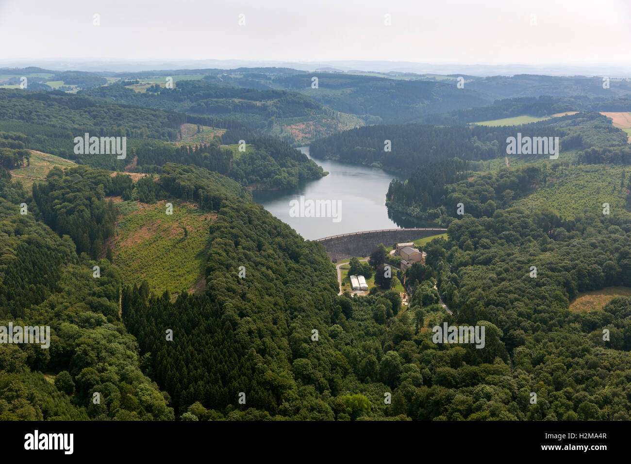 Antenne zu sehen, Hasper Talsperre, Hagen, Hagen, Stausee, Talsperre, Insel, Wald, Natur, Laubwald Luftbild Luftaufnahme Stockfoto