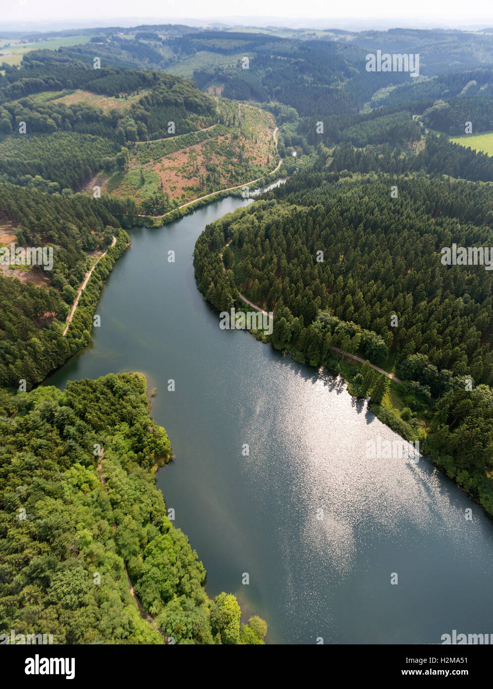 Antenne zu sehen, Hasper Talsperre, Hagen, Hagen, Stausee, Talsperre, Insel, Wald, Natur, Laubwald Luftbild Luftaufnahme Stockfoto
