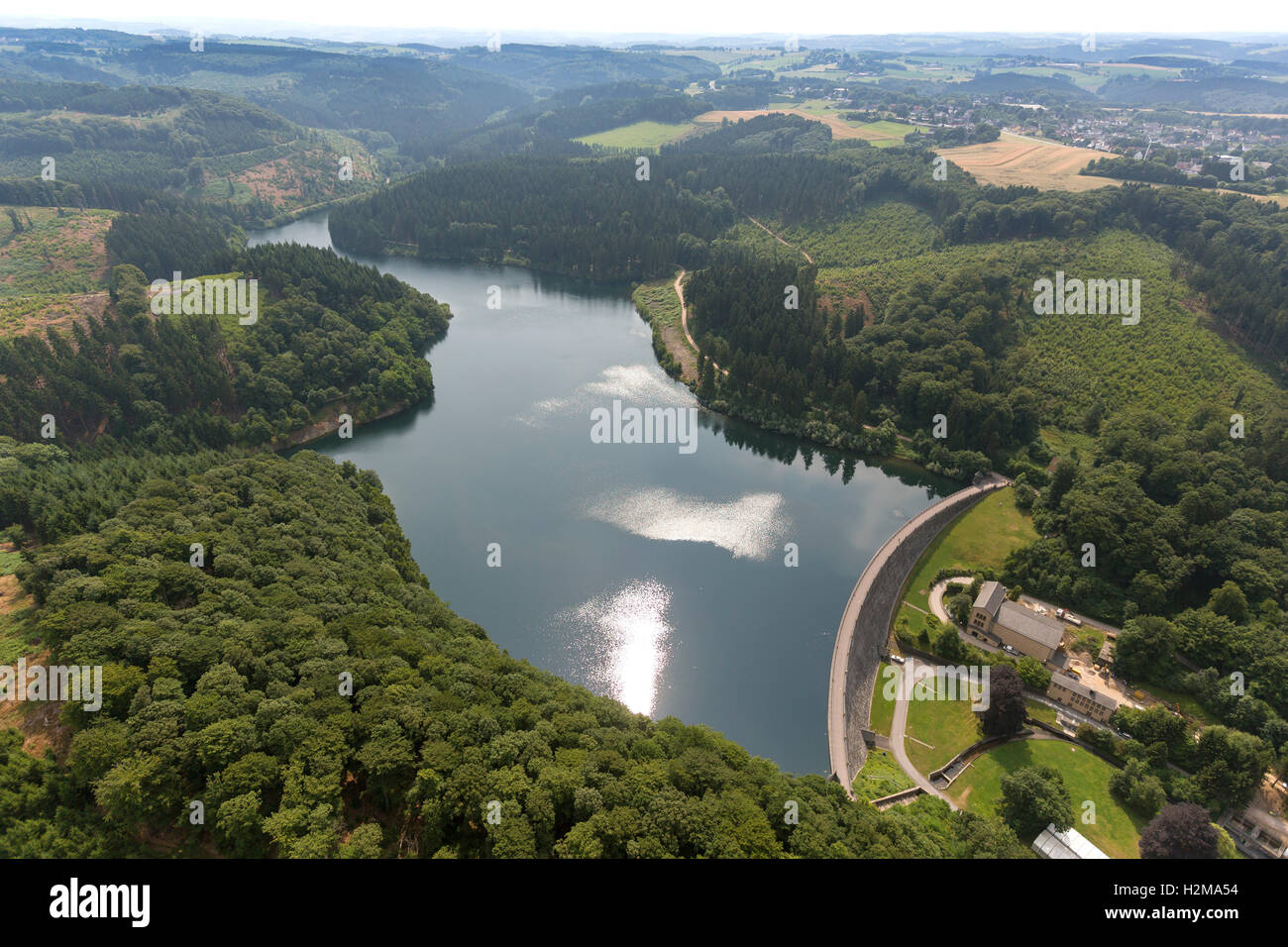 Antenne zu sehen, Hasper Talsperre, Hagen, Hagen, Stausee, Talsperre, Insel, Wald, Natur, Laubwald Luftbild Luftaufnahme Stockfoto