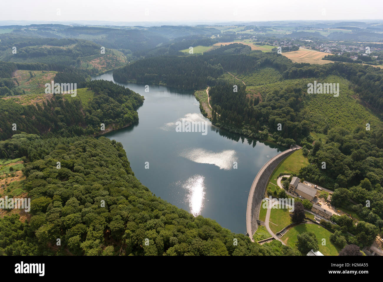 Antenne zu sehen, Hasper Talsperre, Hagen, Hagen, Stausee, Talsperre, Insel, Wald, Natur, Laubwald Luftbild Luftaufnahme Stockfoto