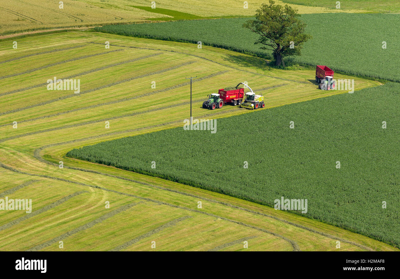 Luftbild, Ernte, Traktor mit Anhänger, Luftbild von Rüthen, Sauerland, Soester Börde, North Rhine-Westphalia, Stockfoto