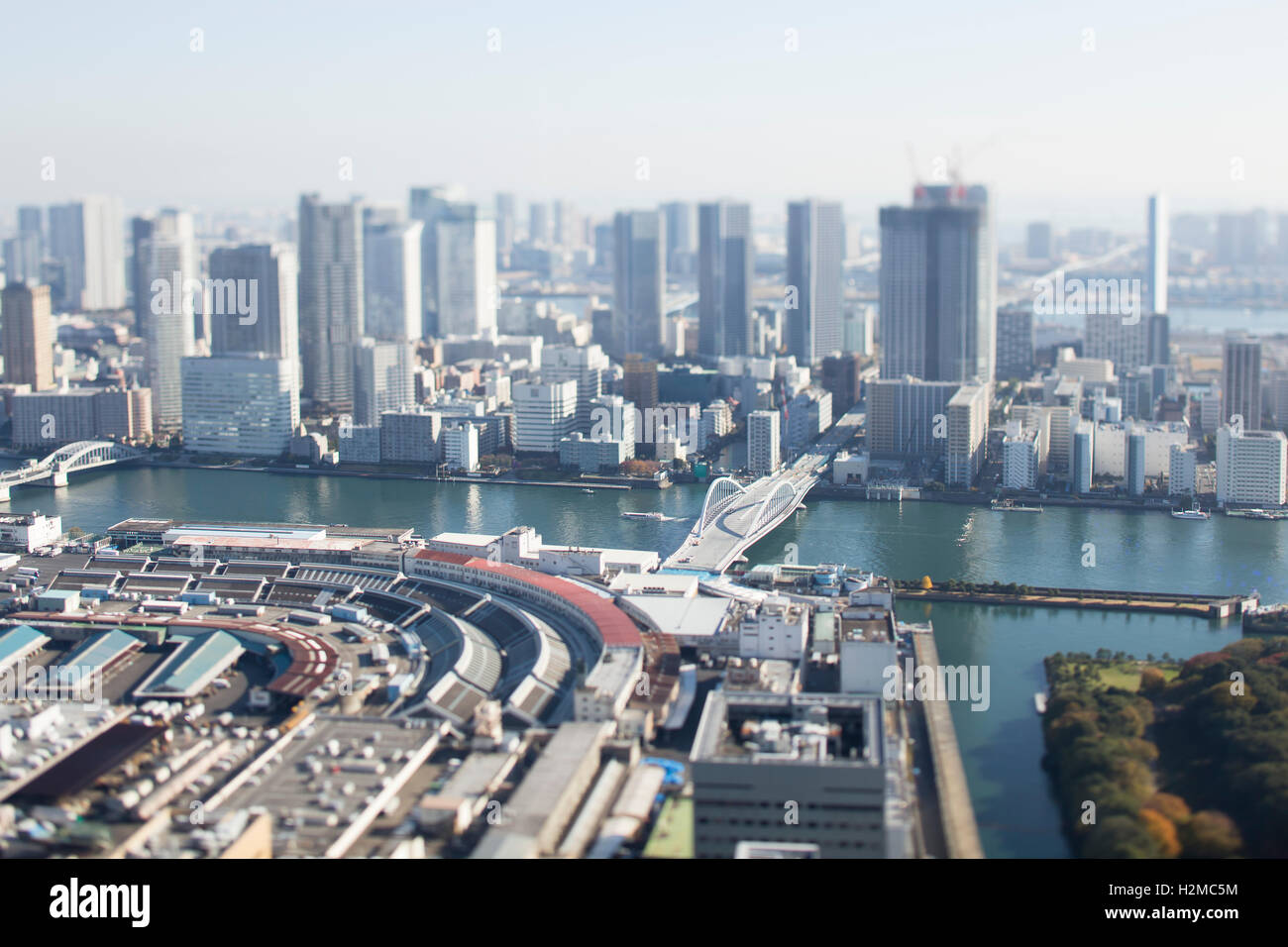 Tilt-Shift Vogelperspektive des Stadtbildes Tokyo, Tokyo, Japan Stockfoto