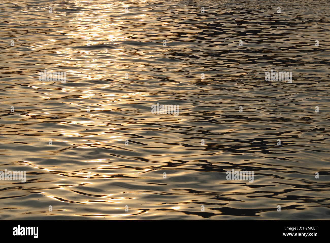 Sonnenlicht reflektieren, Wasser Stockfoto