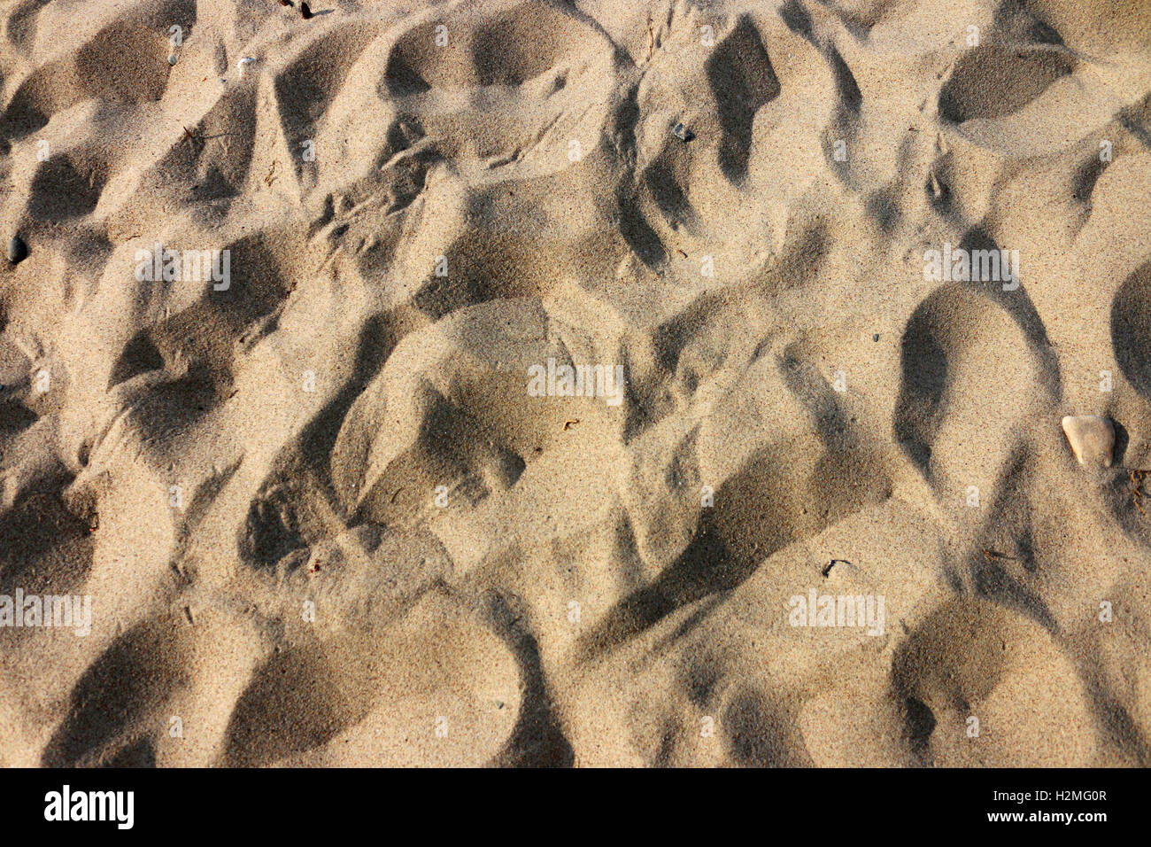 Sand, Strand, Ostsee, Hiddensee. Stockfoto