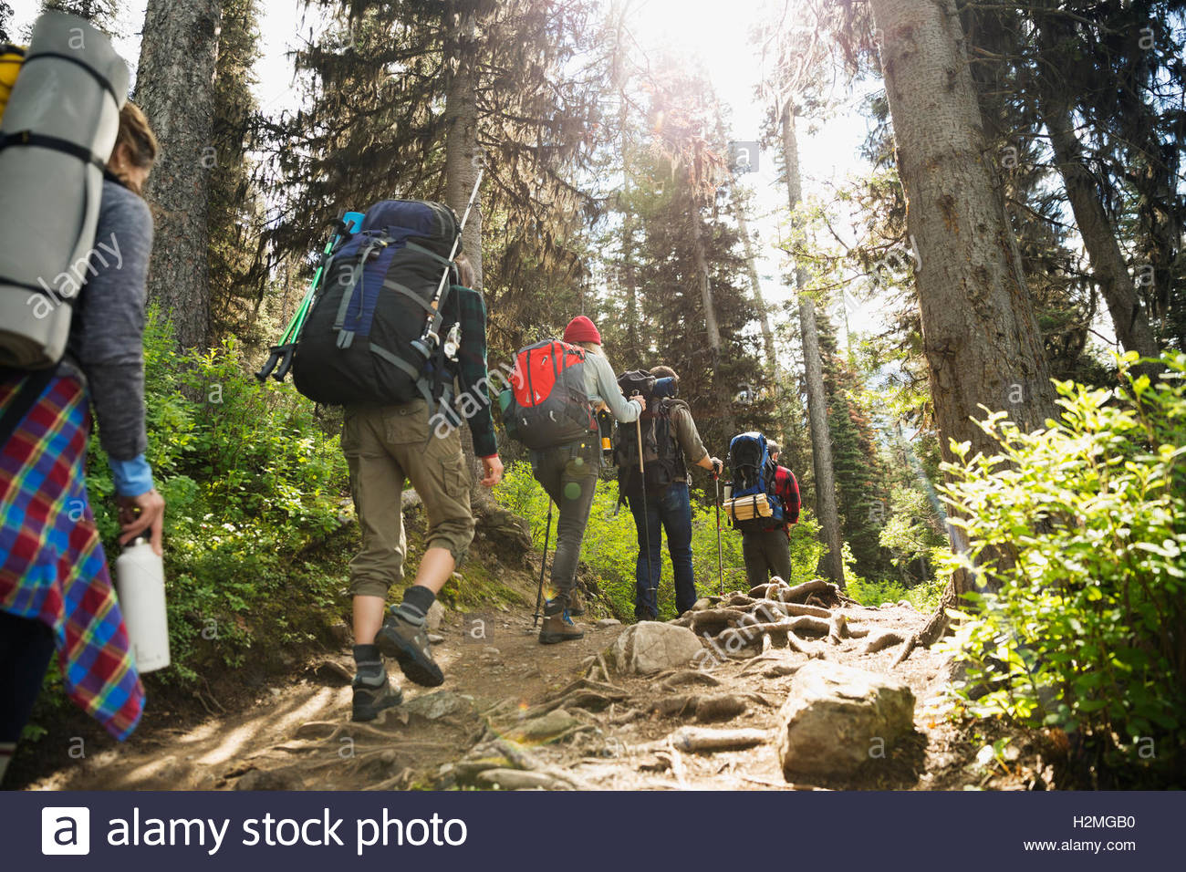 hiking-pole-fotos-und-bildmaterial-in-hoher-aufl-sung-alamy