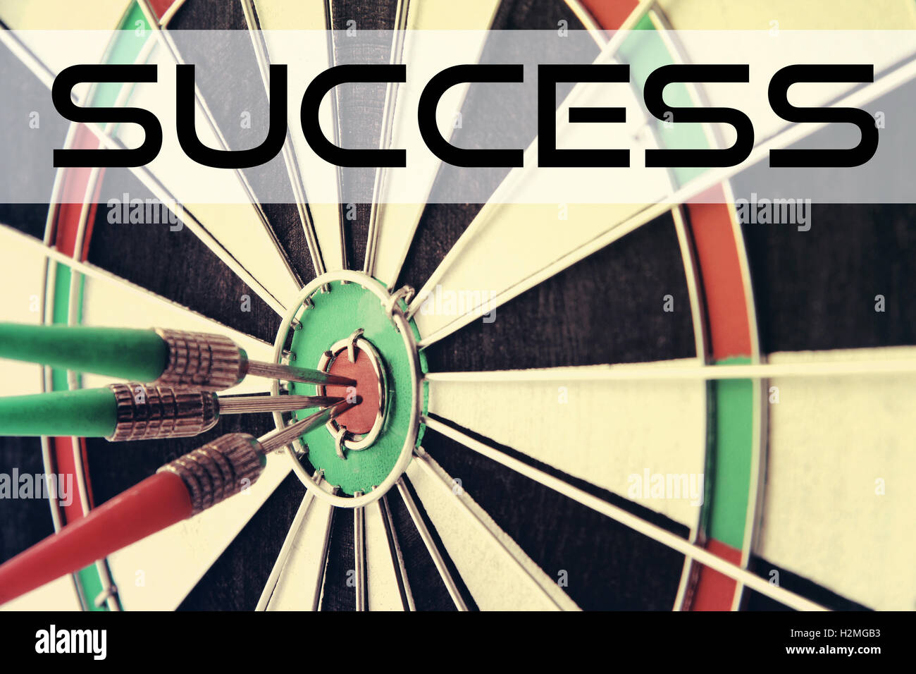 Darts Bullseye mit Zitat: Erfolg Stockfoto