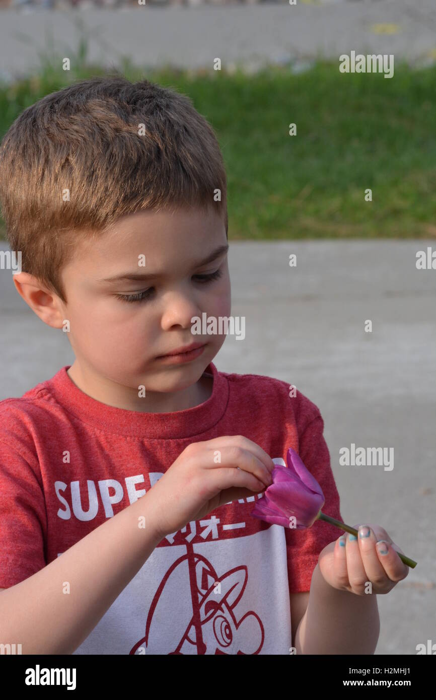 Jungen, die eine Blume Stockfoto