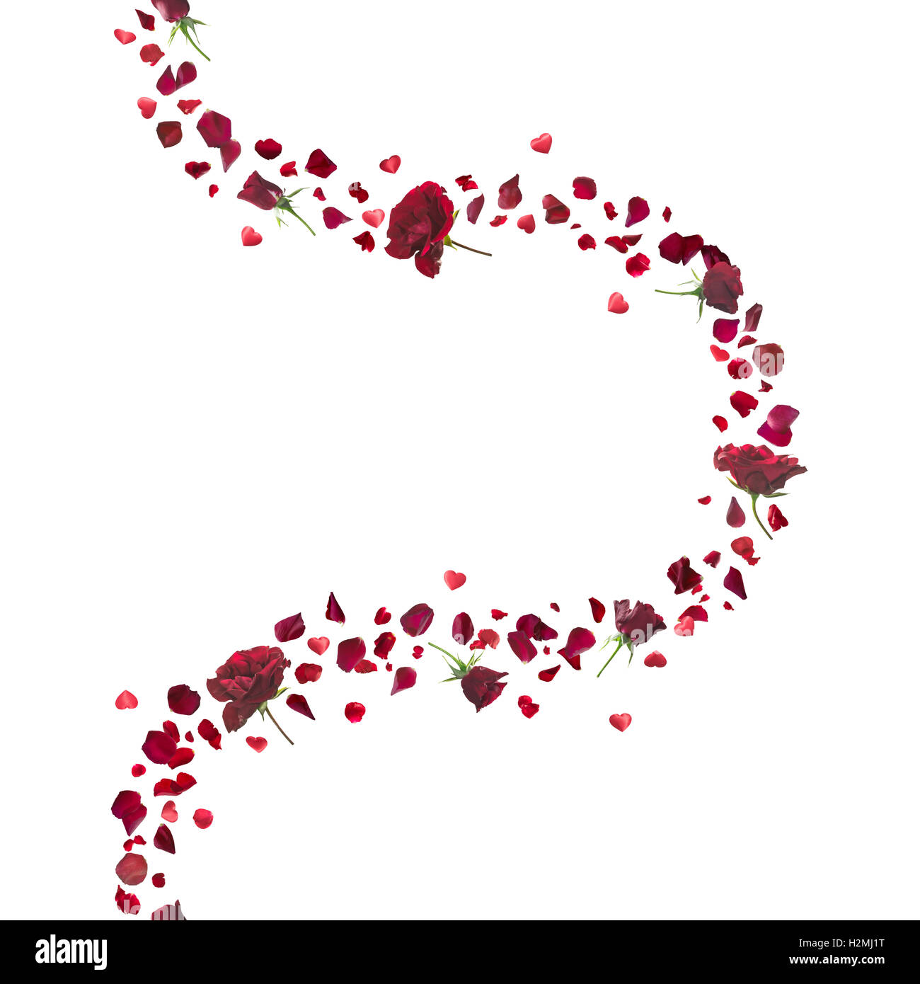 Wiederholbare rote Rosen und Blütenblätter Kurve mit schwebenden Herzen, Studio in Schärfentiefe fotografiert und isoliert auf weiss. Stockfoto