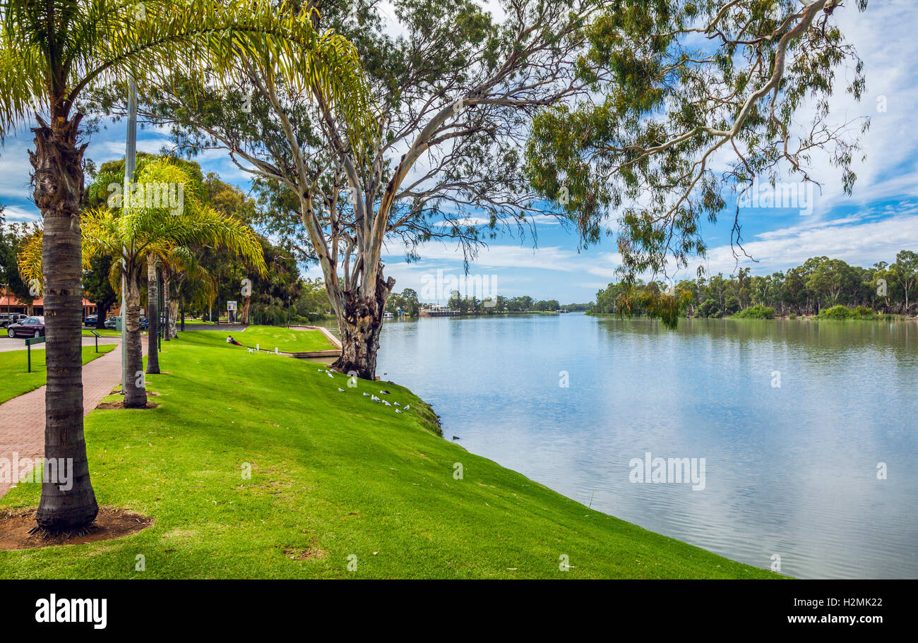 Südaustralien, Renmark, idyllischen Mutulick am Flussufer zu Fuß entlang des Murray River Stockfoto