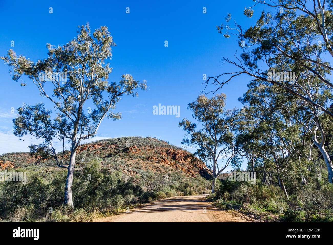 Tillite Wände der Balcanoona reicht bei Italowie Lücke, Vulkathunha-Gammon Ranges National Park, North Flinders Ranges, SA Stockfoto