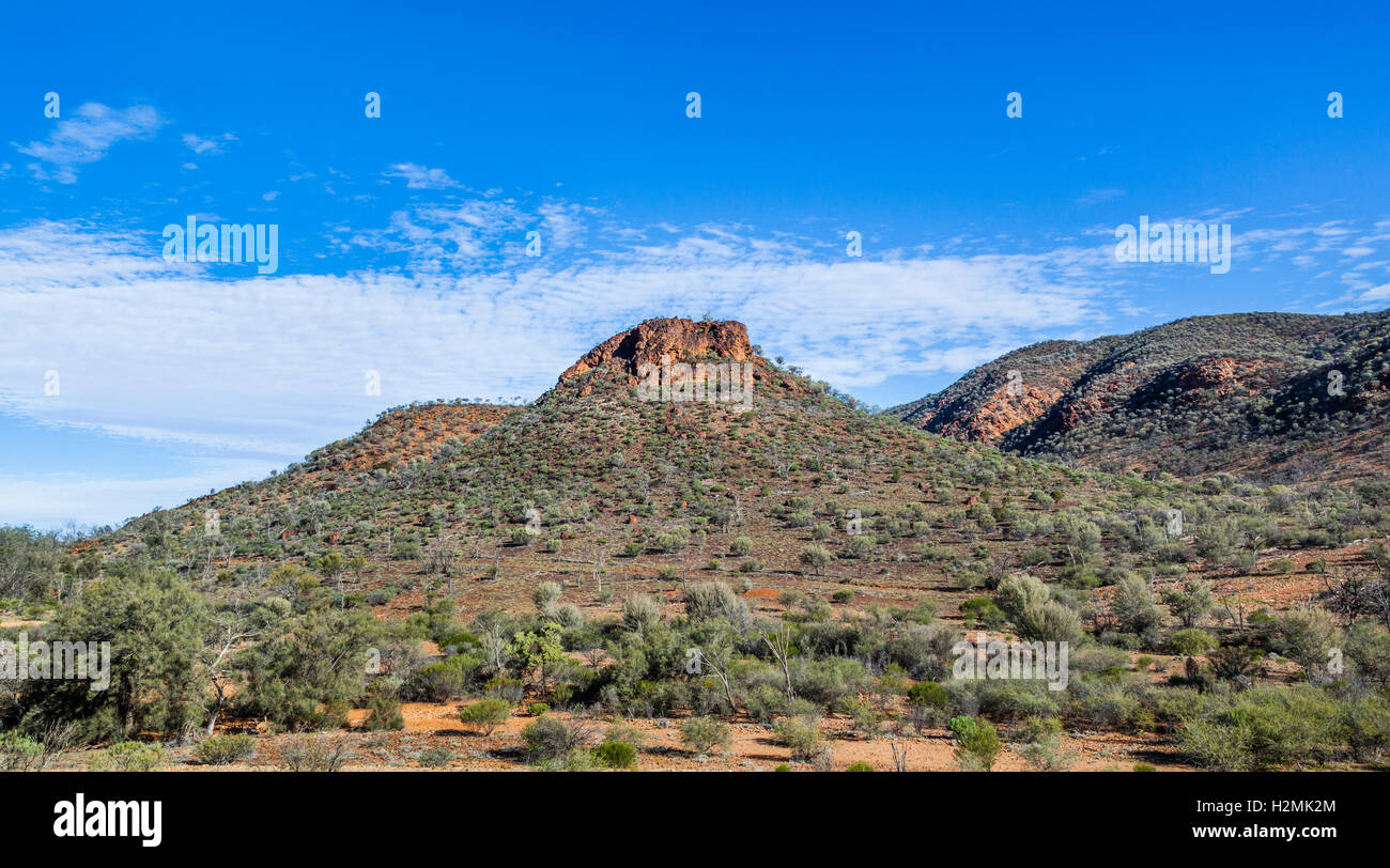 Italowie Wände der Balcanoona reicht bei Italowie Gap, Vulkathunha-Gammon Ranges National Park;  Nördlichen Flinders Ranges, SA Stockfoto