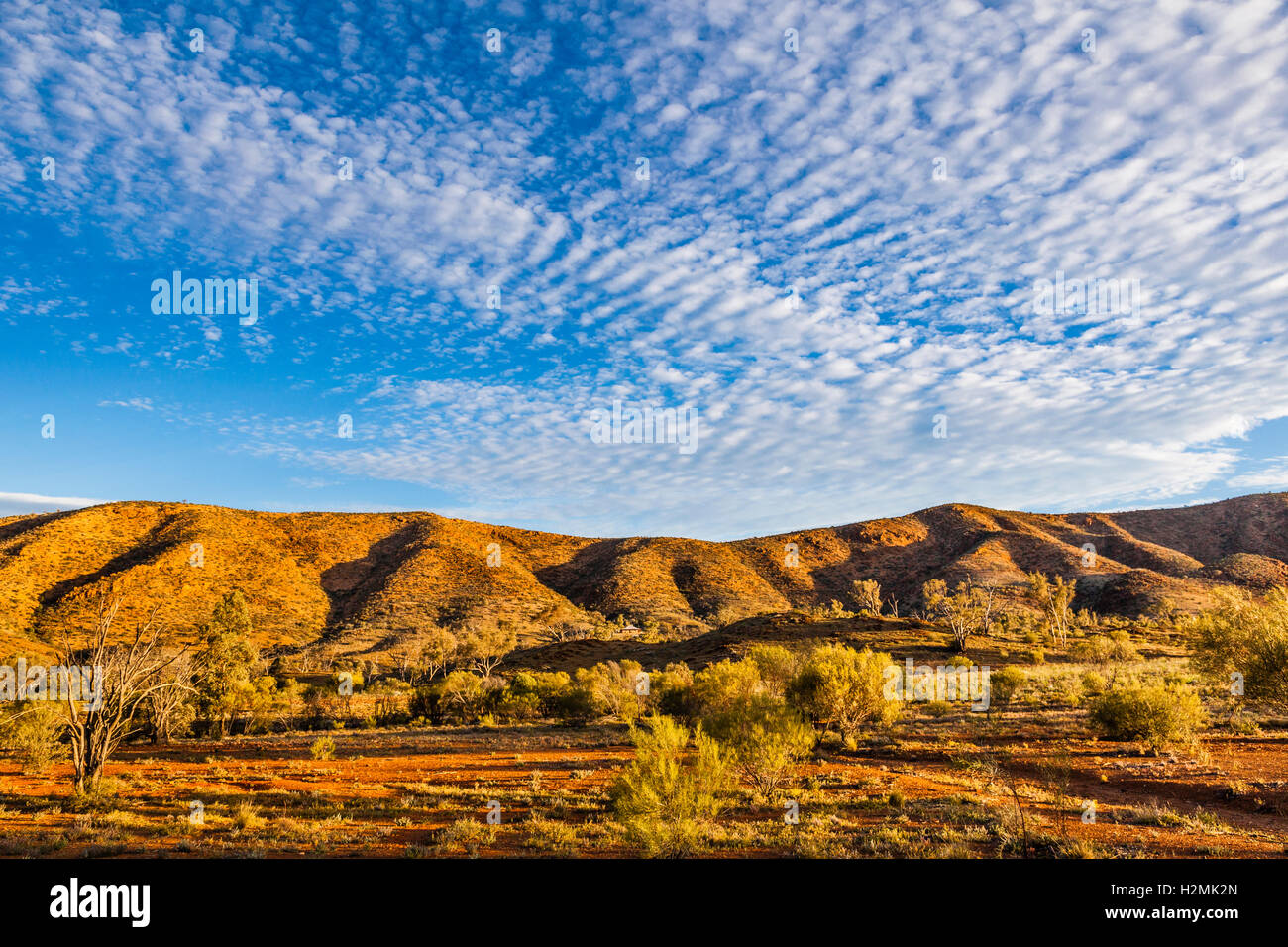 Balcanoona Palette an Grindell Hütte, Vulkathunha-Gammon Ranges National Park, North Flinders Ranges, South Weintransporte Stockfoto