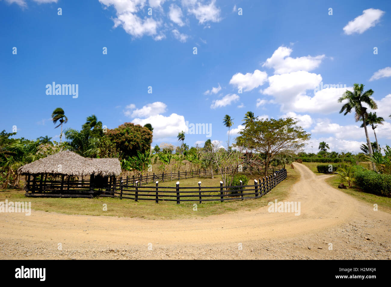 Bauernhof Stockfoto