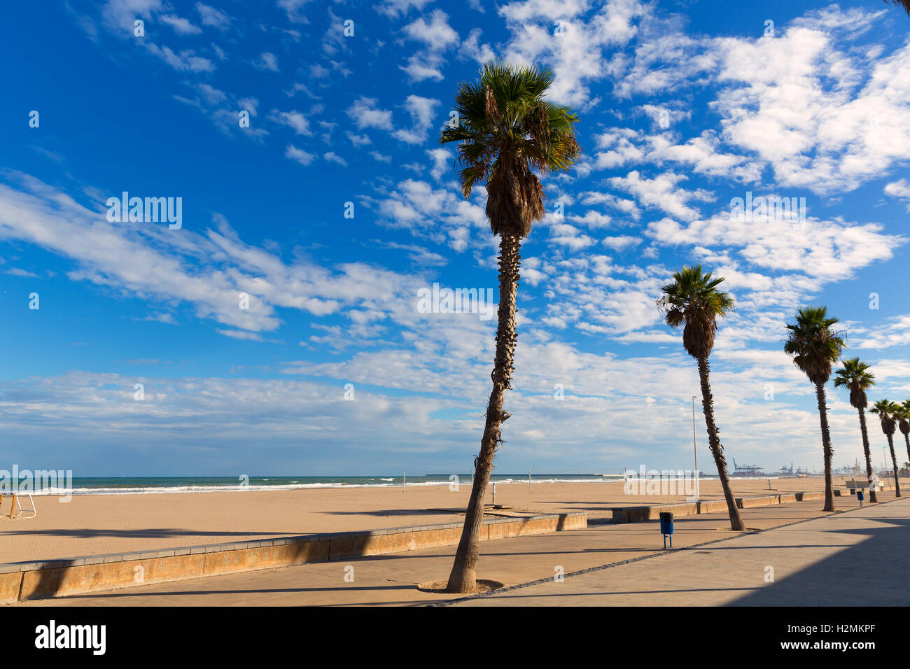 Valencia Malvarrosa Las Arenas Strand Palmen in Patacona Stockfoto