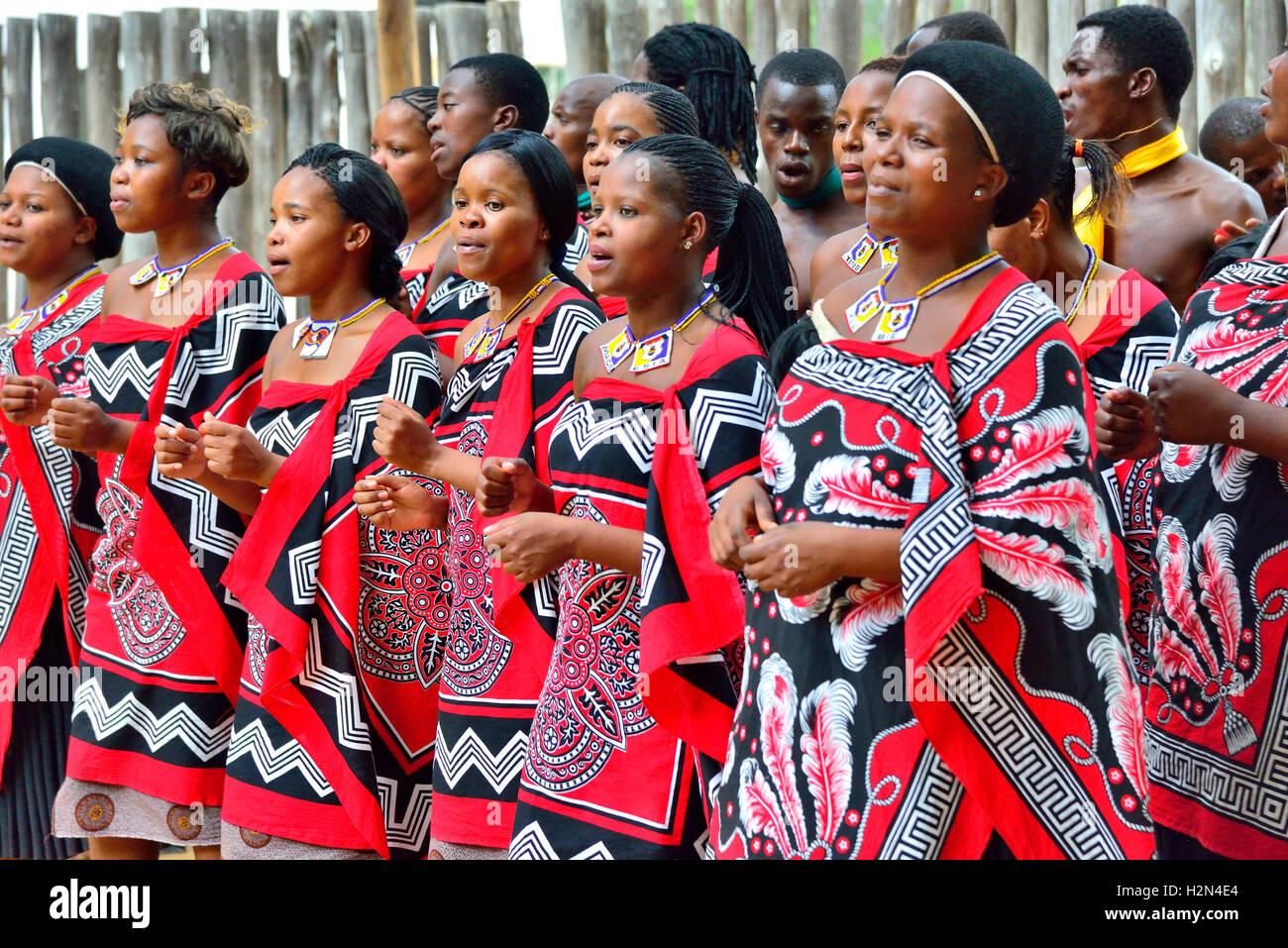 Traditionelle Swasidörfer tanzen Anzeige durch die troupe an Mantenga Cultural Village, Ezulwini Tal, eSwatini früher als Swasiland bekannt Stockfoto