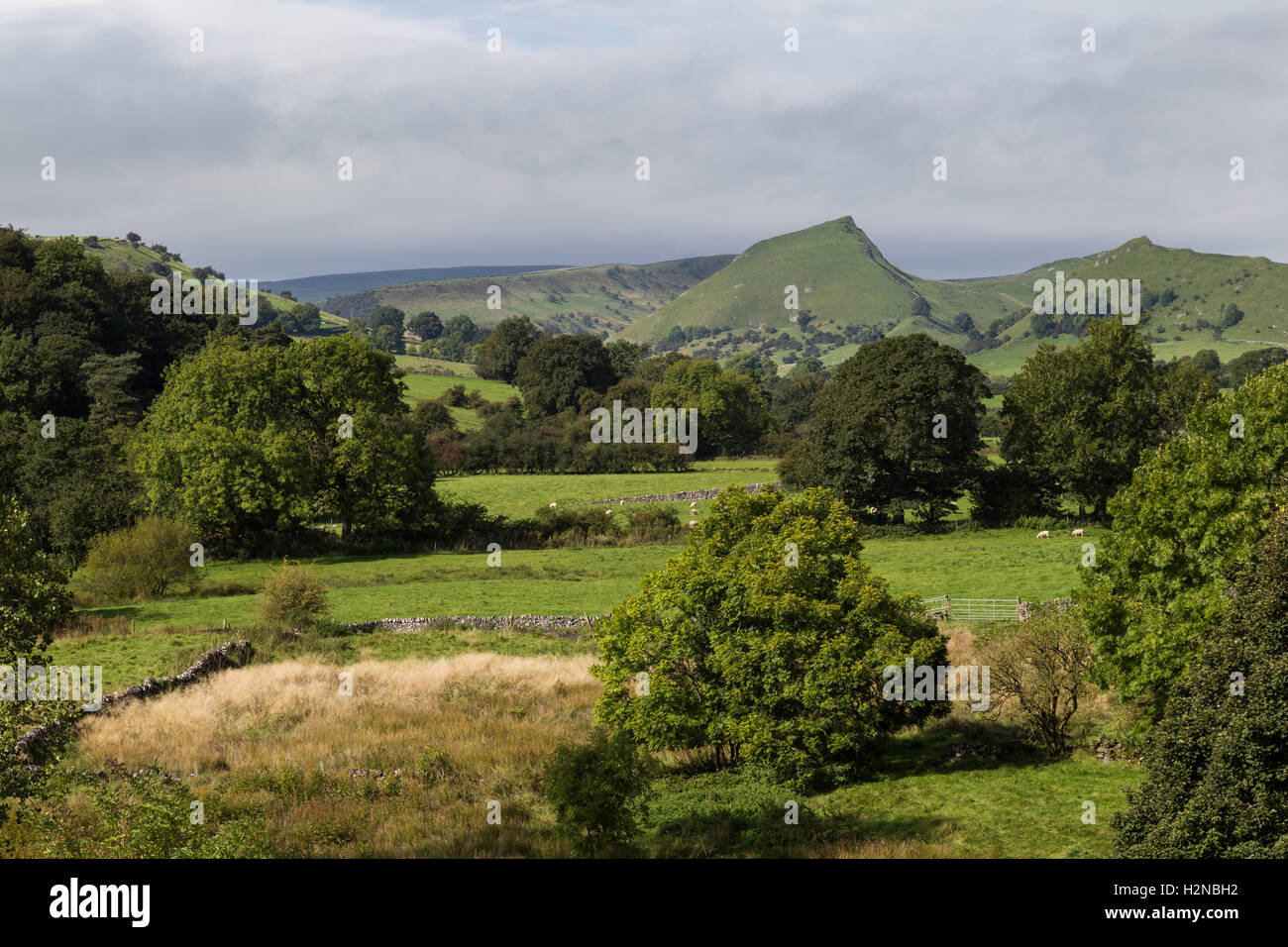Parkhurst Hill, in der oberen Taube Tal. von crowdecote gesehen. in Earl sterndale, Derbyshire Stockfoto