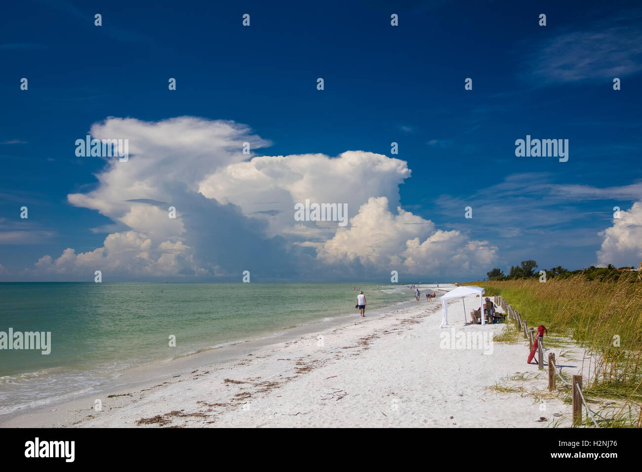 Lighthouse Beach auf Sanibel Island auf den Golf von Mexiko Südwestküste von Florida Stockfoto