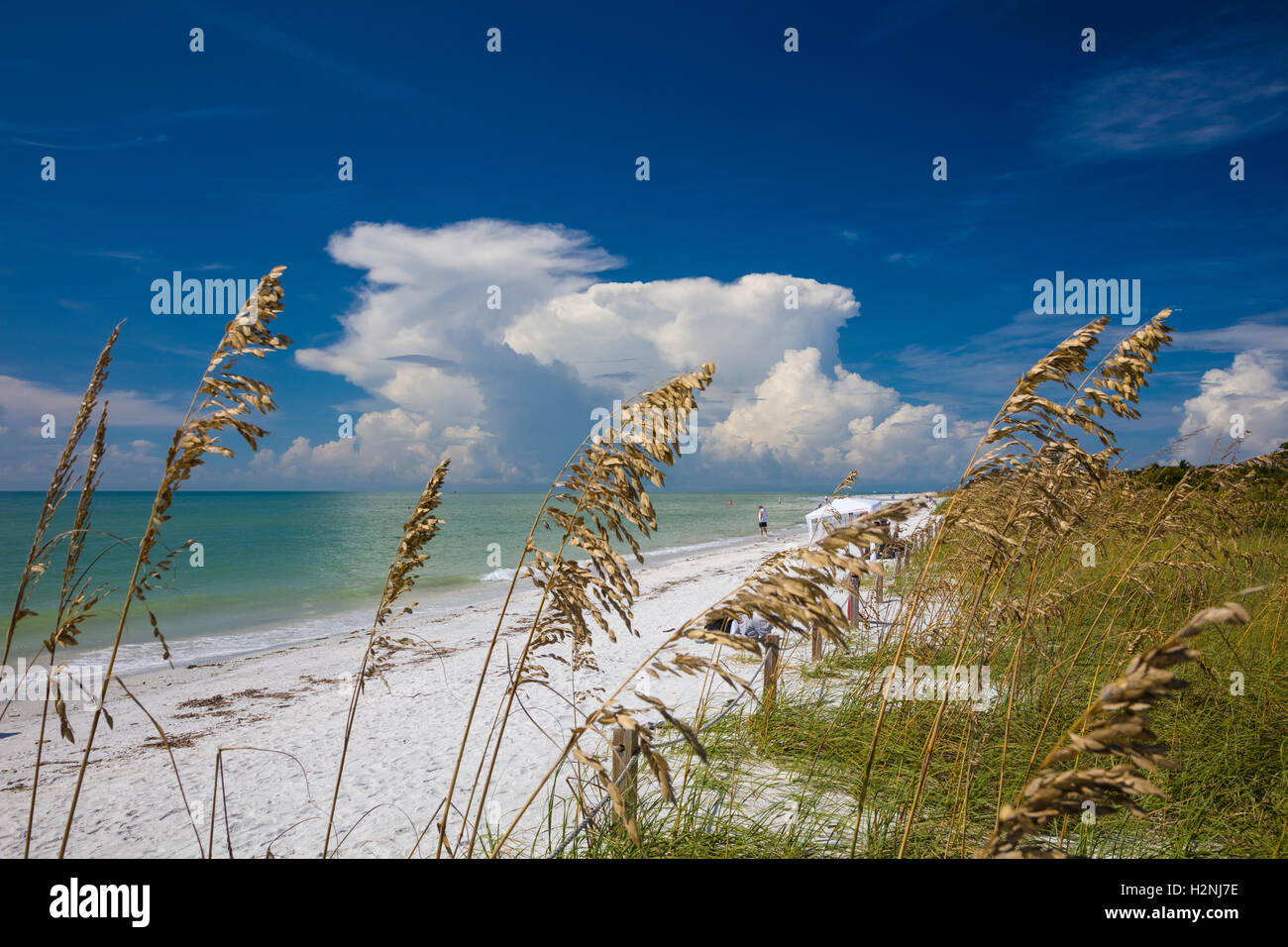 Lighthouse Beach auf Sanibel Island auf den Golf von Mexiko Südwestküste von Florida Stockfoto
