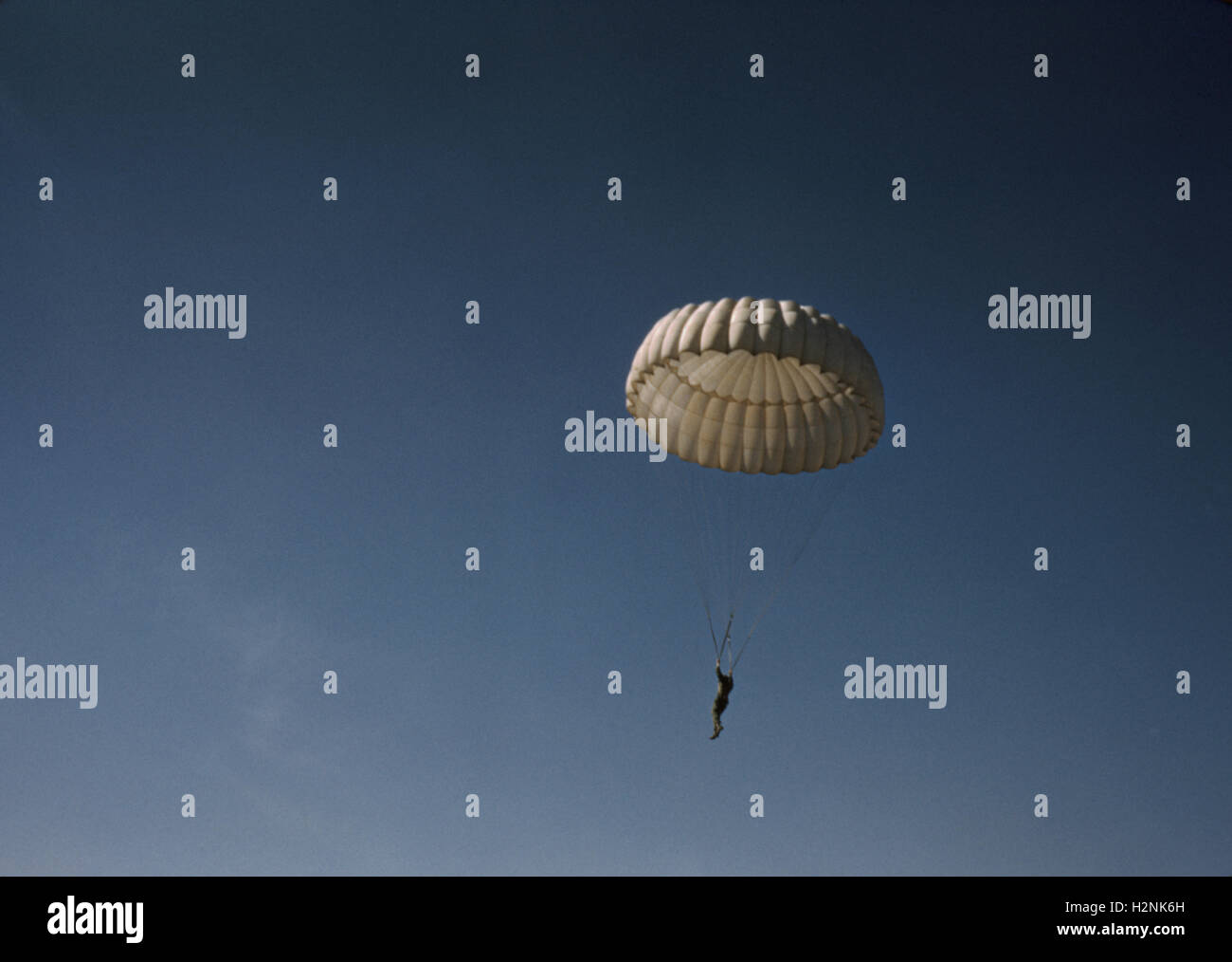 Marine Fallschirmspringen, Parris Island, South Carolina, USA, Alfred T. Palmer für Büro der Krieg-Informationen, kann 1942 Stockfoto