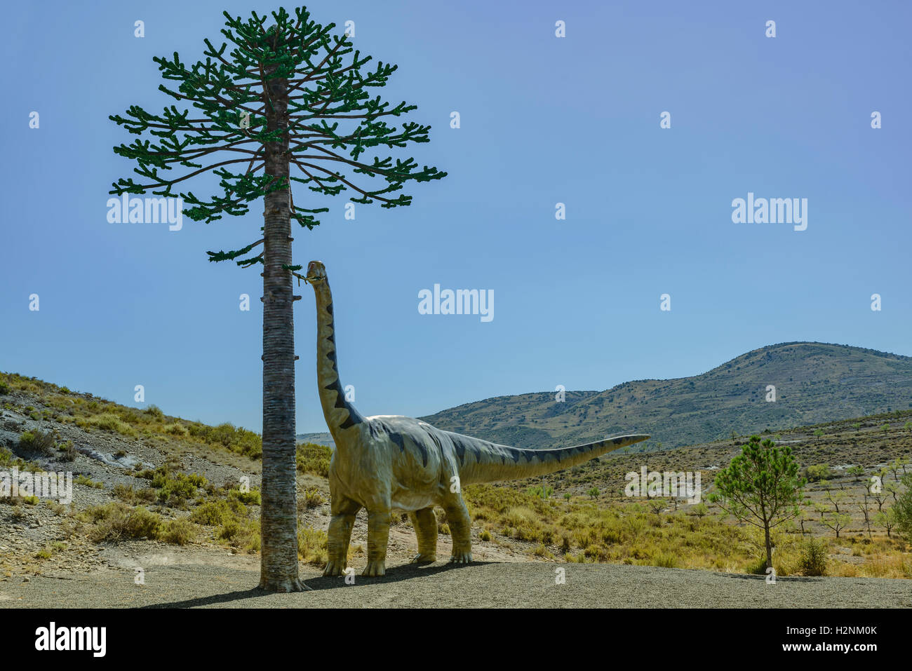 Statue von einem Sauropod Essen die Zweige der Araucaria im Dorf Igea, La Rioja, Spanien Stockfoto