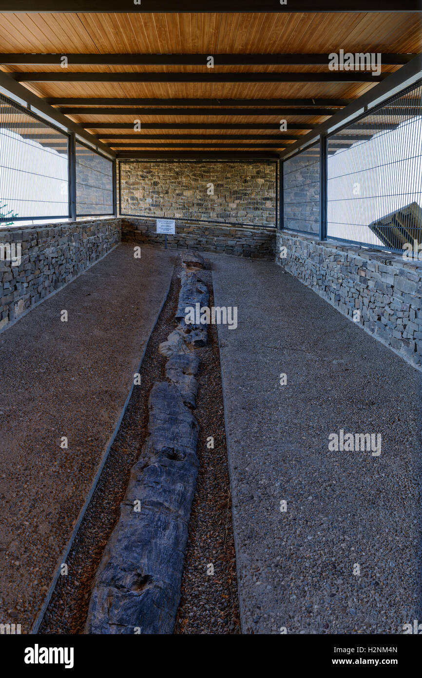 Fossilen Nadel-paläontologische Stätte in Dorf Igea in der autonomen Gemeinschaft La Rioja, Spanien. Stockfoto