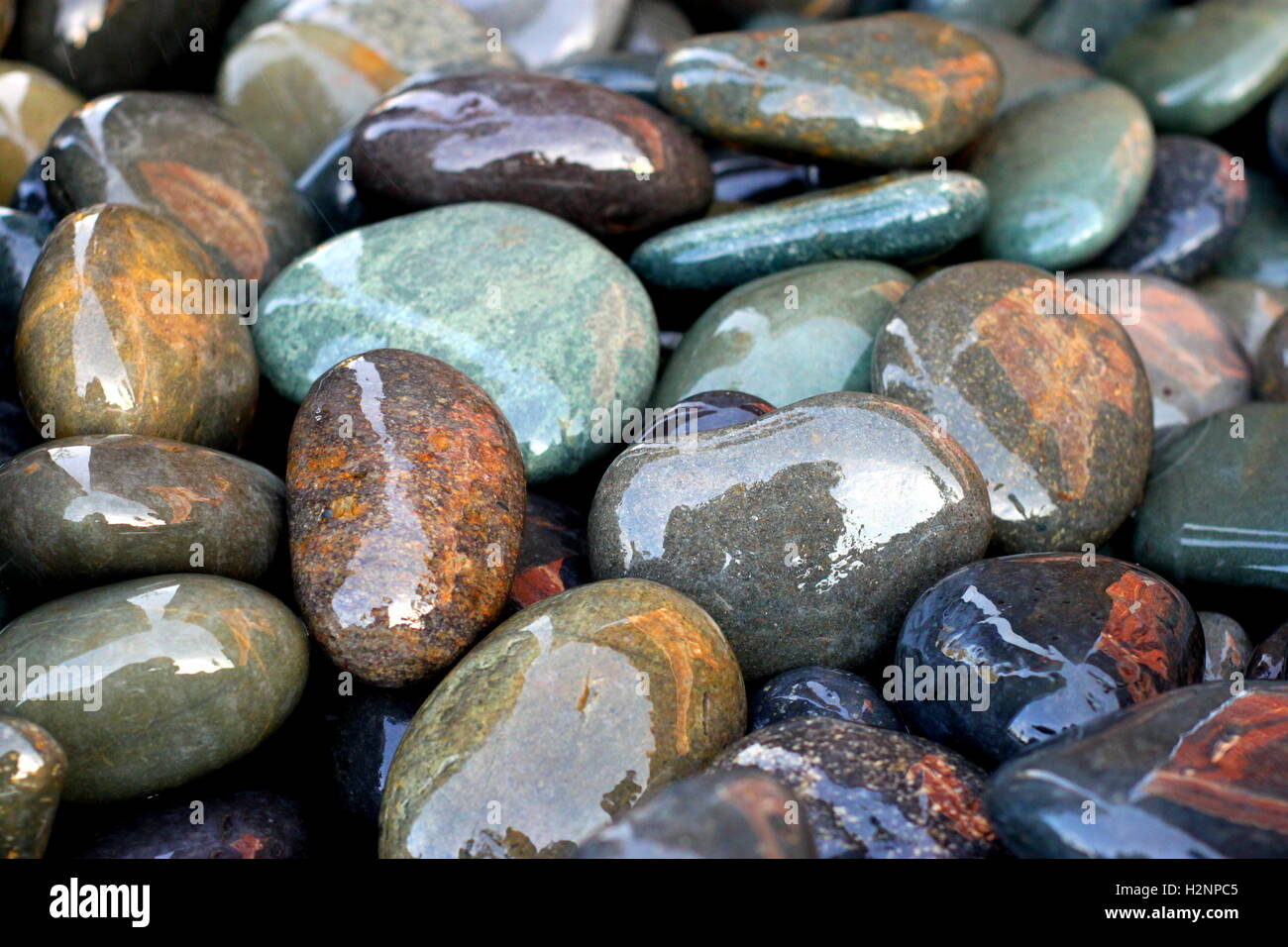 Nahaufnahme Detail Bild Foto Sammlung von nassen Felsen in Brunnen Stockfoto