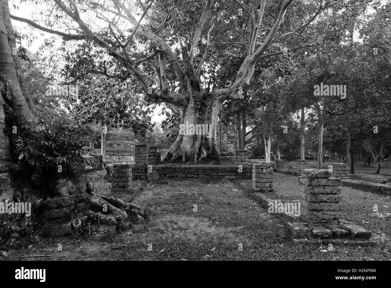 Ruinen des Palastes oder Tempel im Geschichtspark Kamphaeng Phet Stockfoto