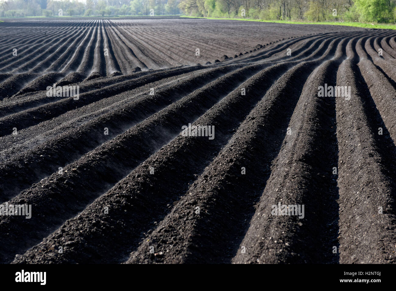 Gepflügten Feld, Furchen, Schwarzerde, obere Dinger Moos, Oberding, Upper Bavaria, Bavaria, Germany Stockfoto