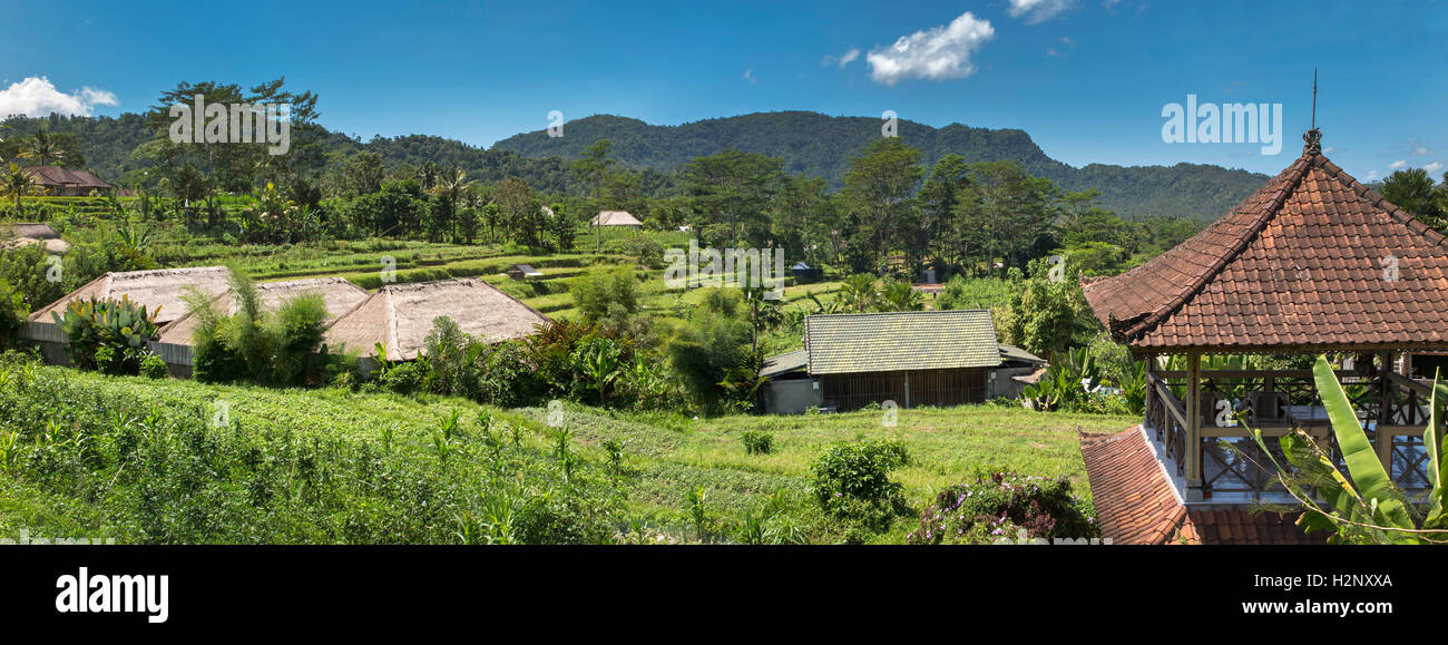Indonesien, Bali, Sidemen, Banjar Tabola, Panoramablick über Reisfelder von Saman Vaya hotel Stockfoto