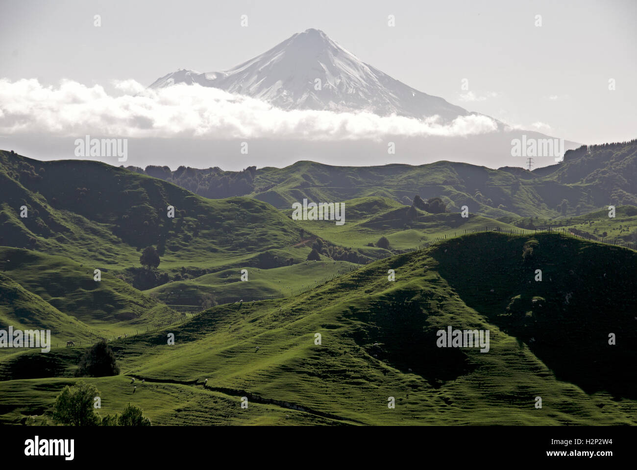 Eine trübe Detailansicht des Mount Taranaki von Forgotten Highway. Stockfoto