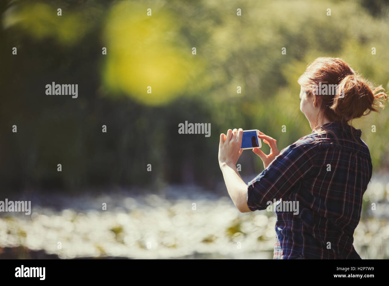 Frau mit Kamera-Handy am sonnigen Seeufer Stockfoto
