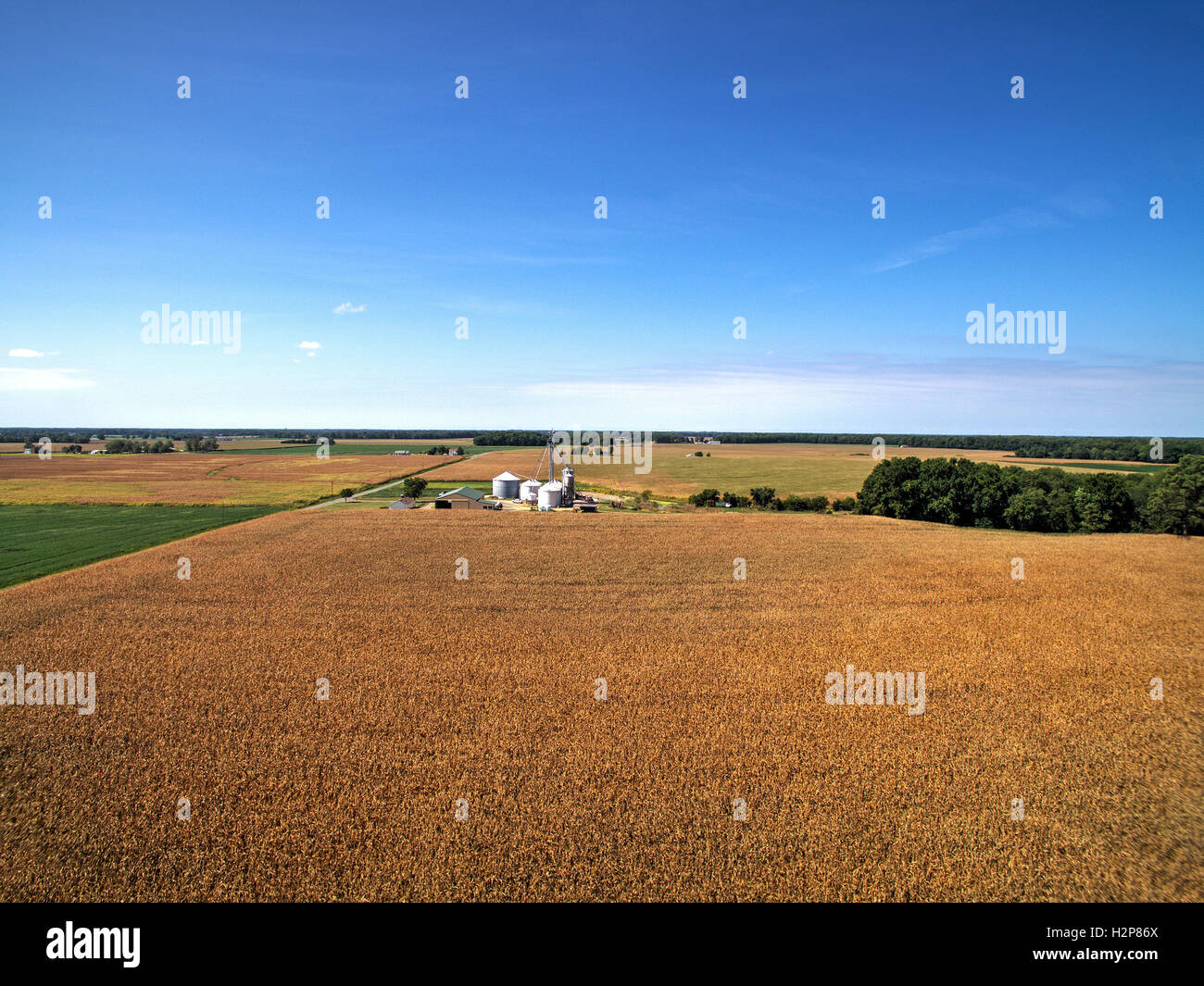 Con verbracht, Felder und Bauernhof Stockfoto