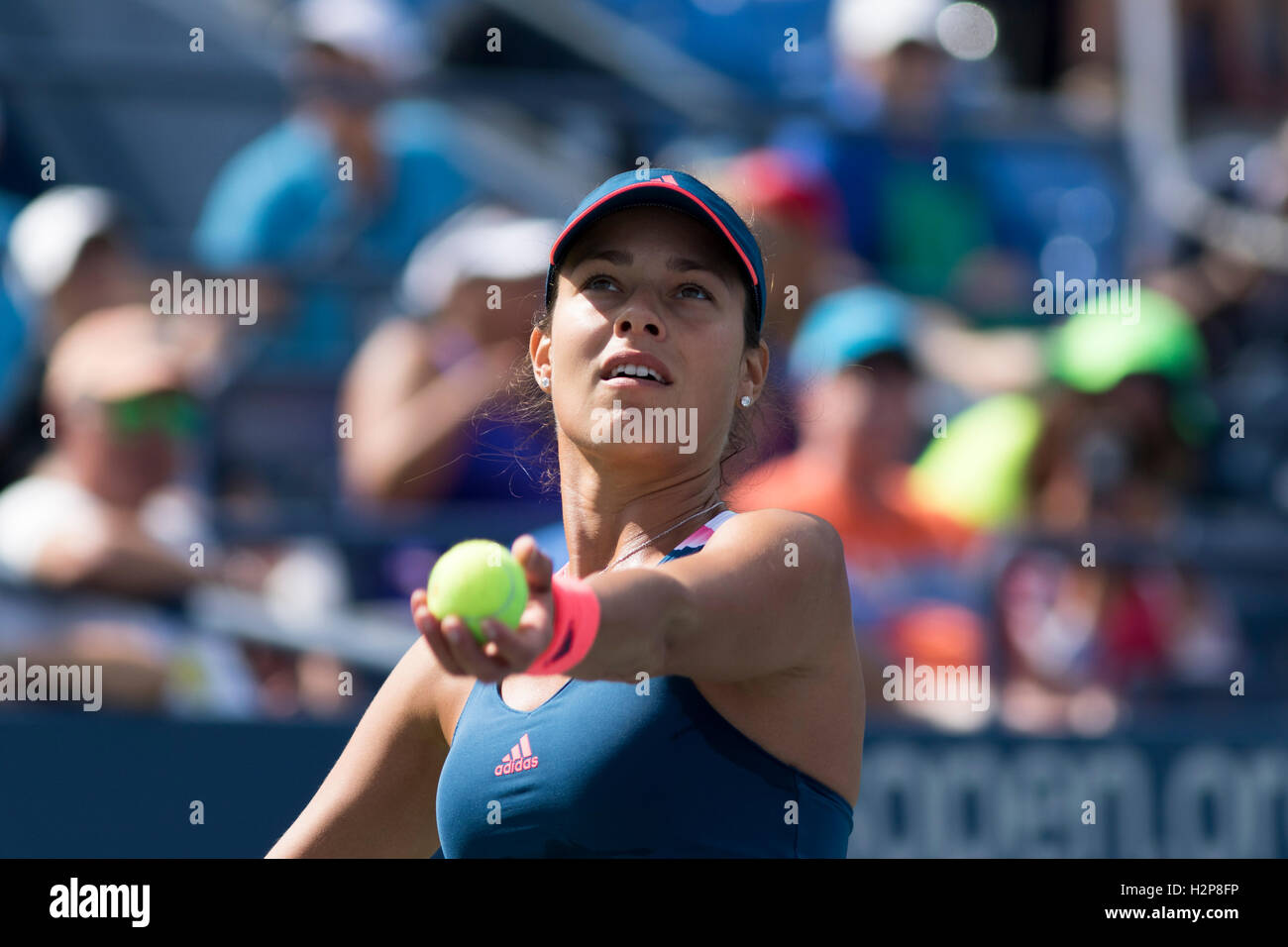 Ana Ivanovic (SRB) im Wettbewerb bei den US Open 2016 Stockfoto
