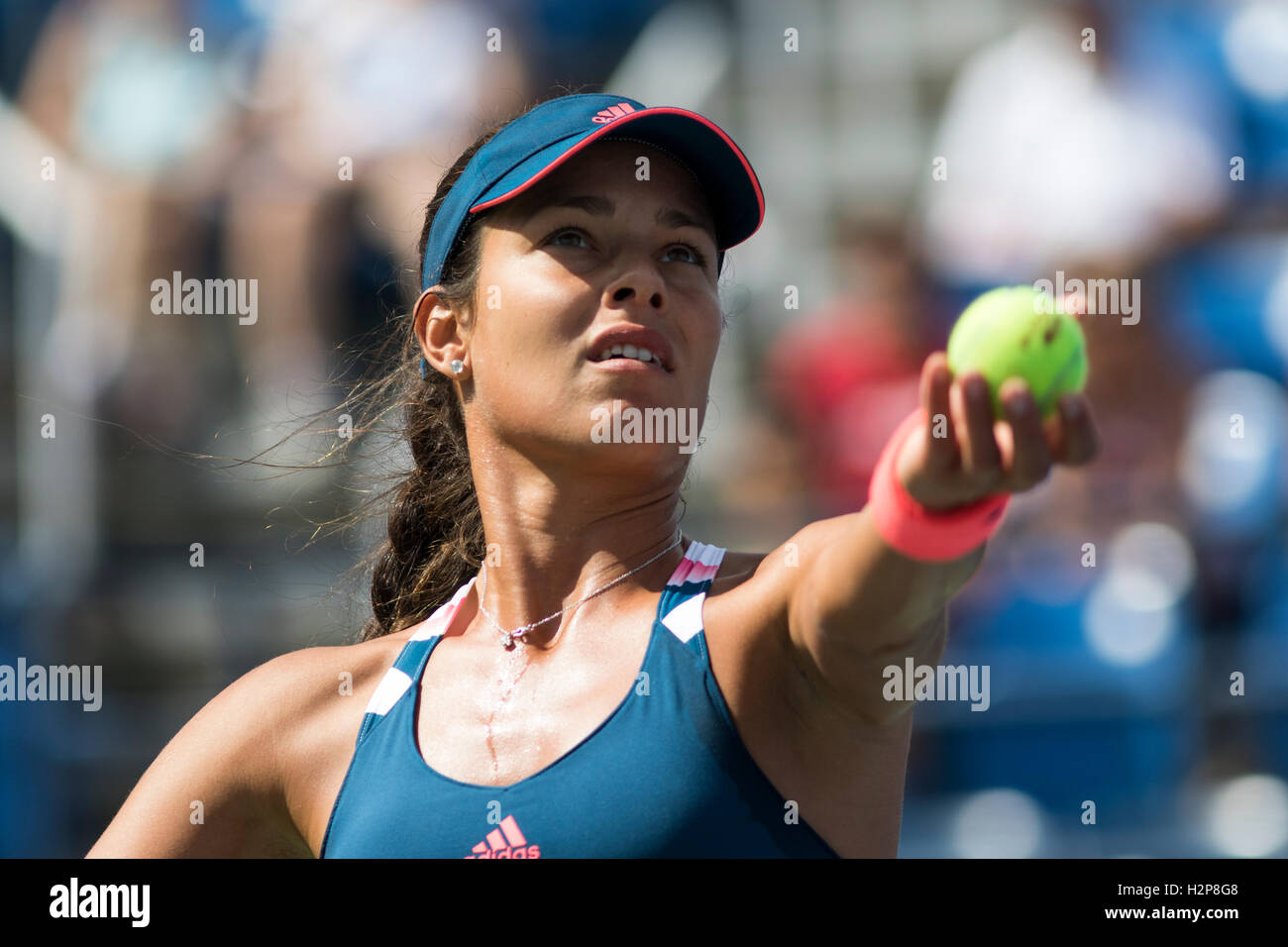 Ana Ivanovic (SRB) im Wettbewerb bei den US Open 2016 Stockfoto