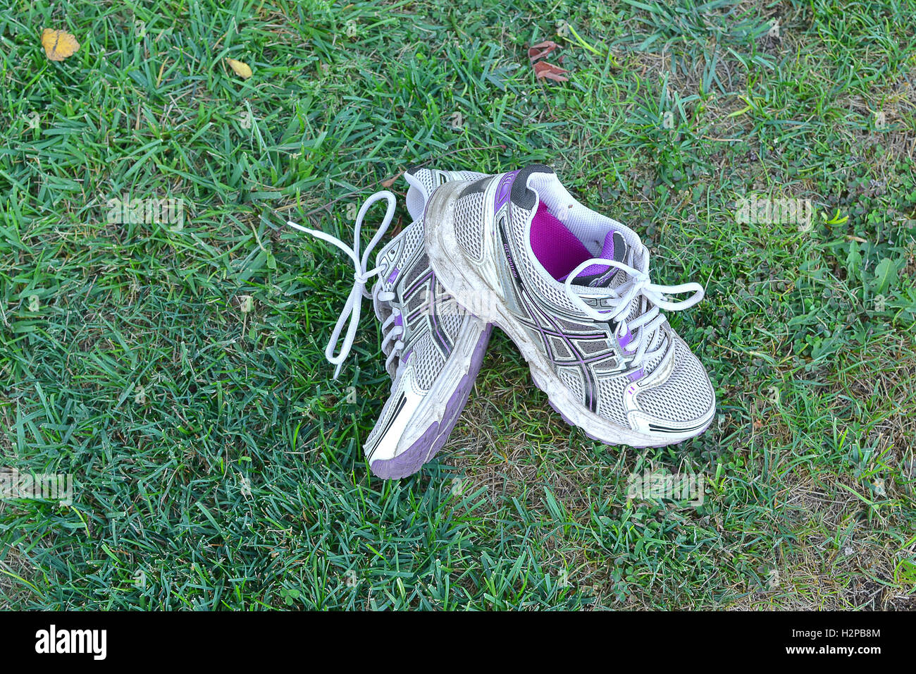 Ein paar der alten Laufschuhe auf dem Rasen Stockfoto