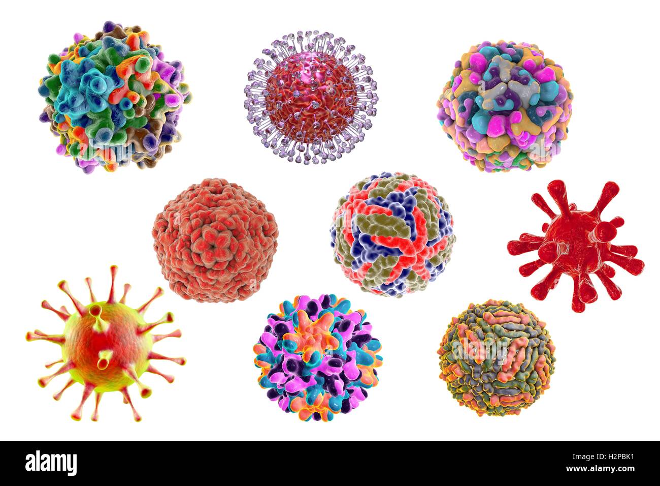 Menschlichen pathogenen Viren, Computer-Abbildung. Stockfoto