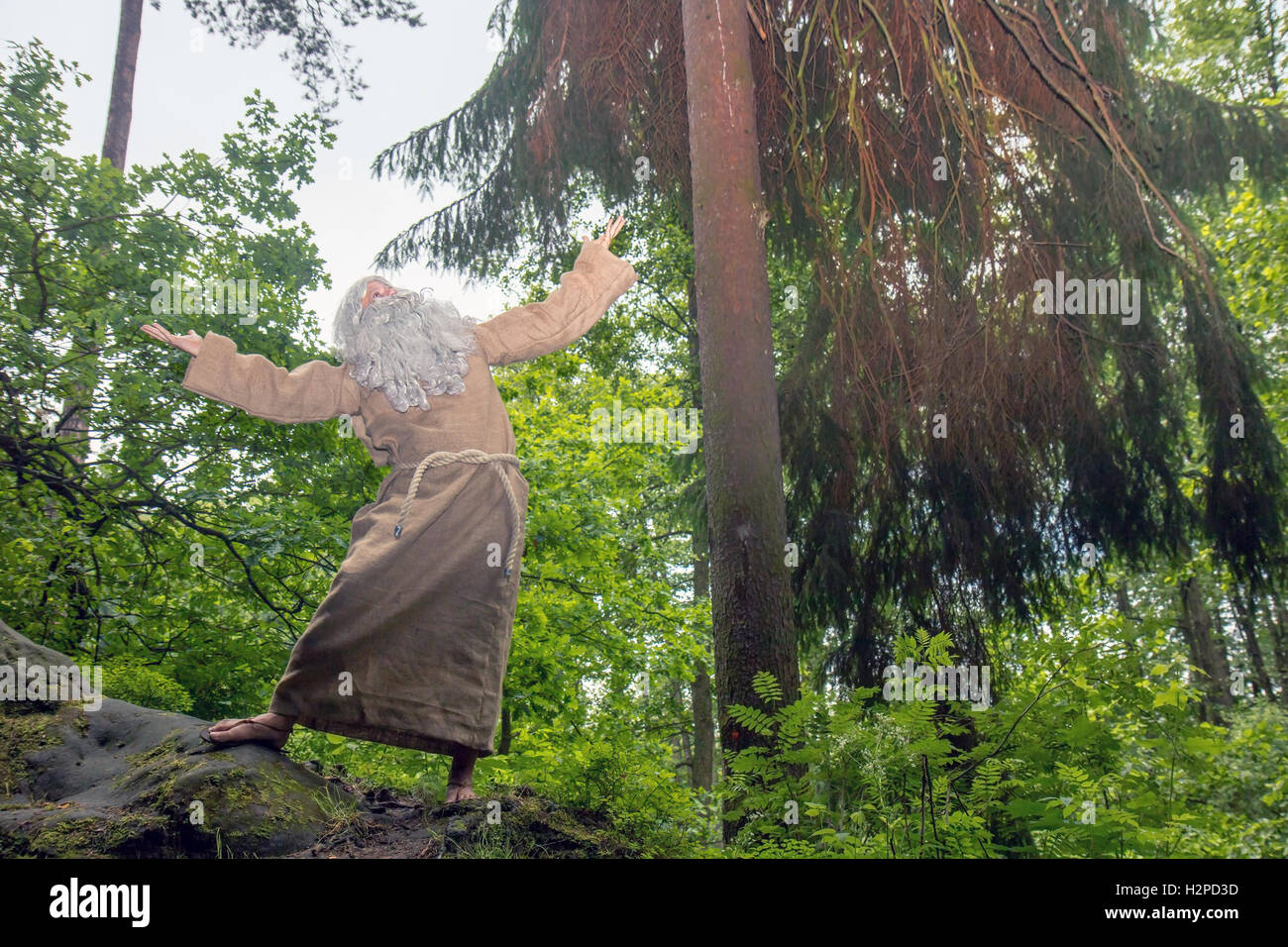 Bärtiger Mann verehren Gott in der Natur. Der alte Einsiedler hob die Hände zum Himmel. Stockfoto