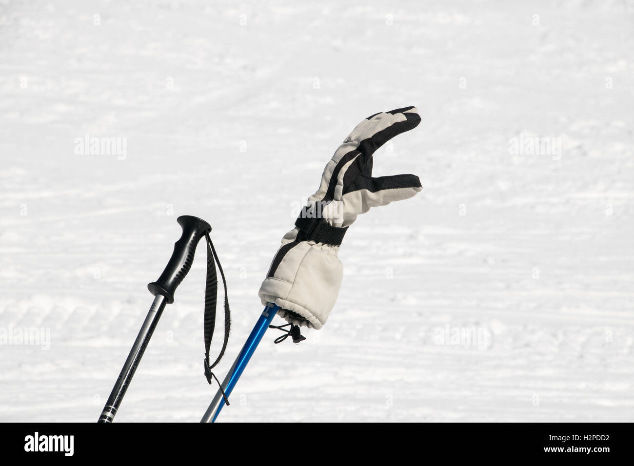 Ski-Handschuh auf Skistock im Schnee Stockfoto