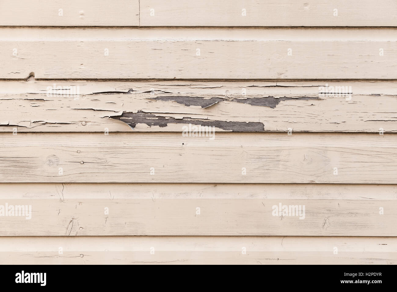 Alten Biege Holzwand mit Peeling Lackschicht, detaillierte Hintergrundtextur Foto Stockfoto