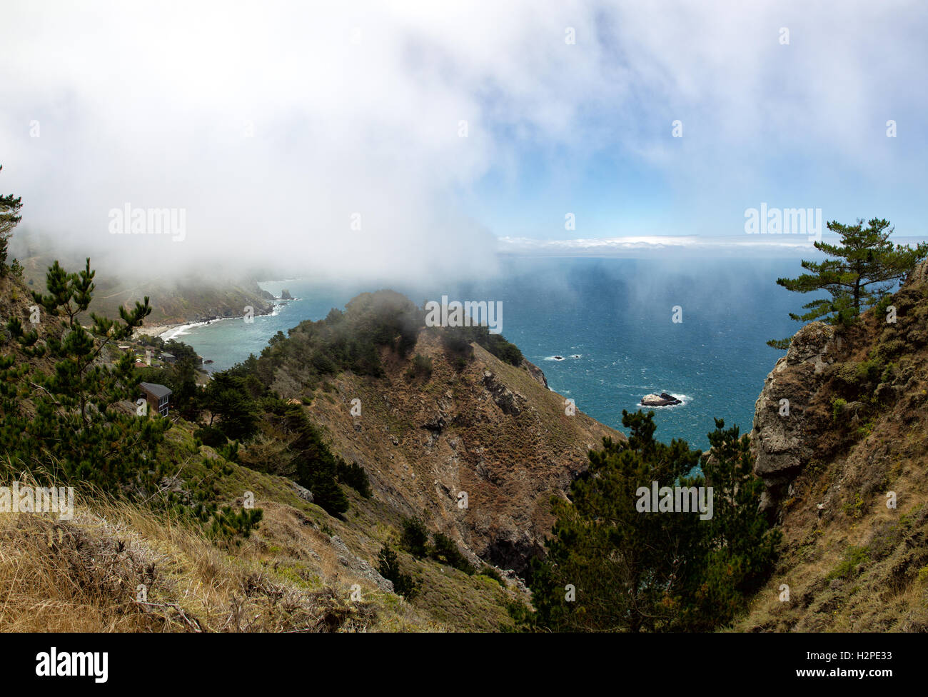 Steilküste bei den Muir Blick auf Strand in der Nähe von San Francisco, Kalifornien, USA. Stockfoto